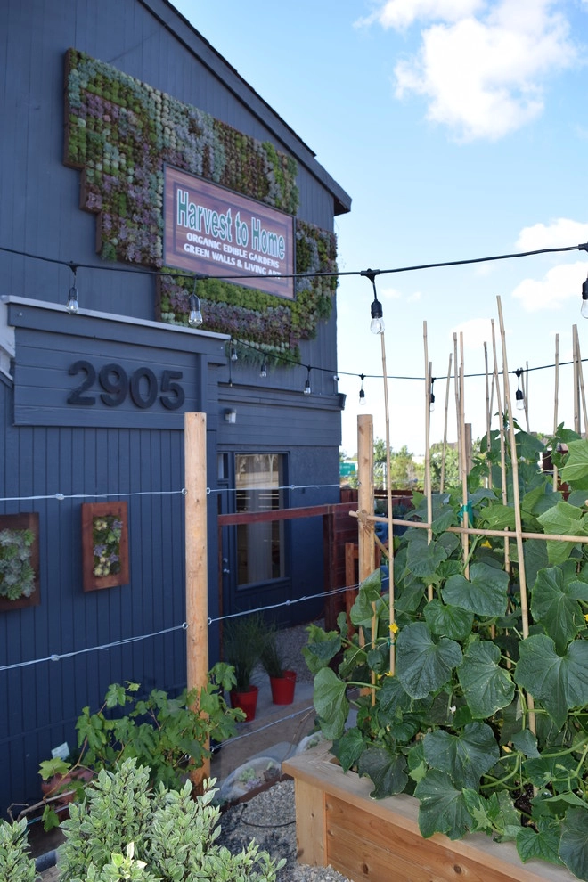 Our Show Room by Harvest To Home Vegetable & Herb Garden Service - Photo 10