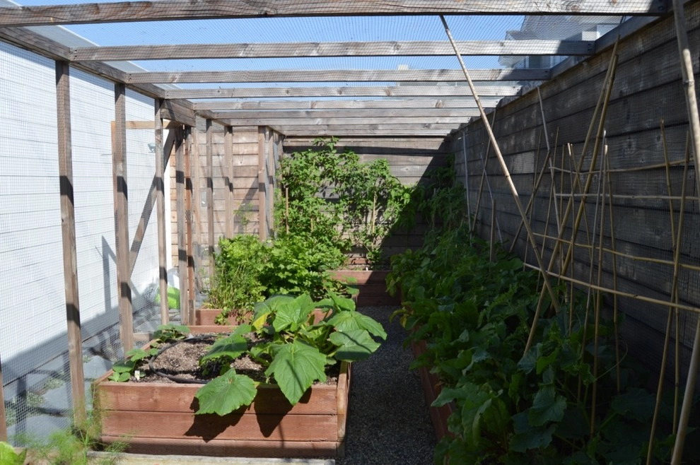Organic Edible Gardens by Harvest To Home Vegetable & Herb Garden Service - Photo 5