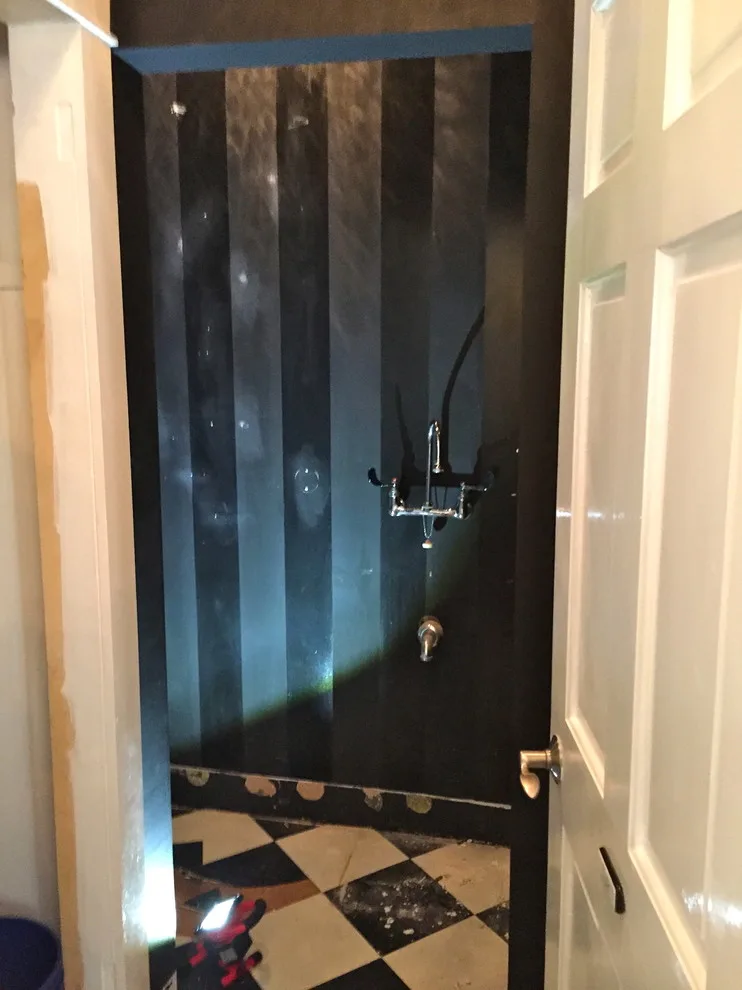 Powder Room Upgrade by Jenn Ray Interiors - Photo 2