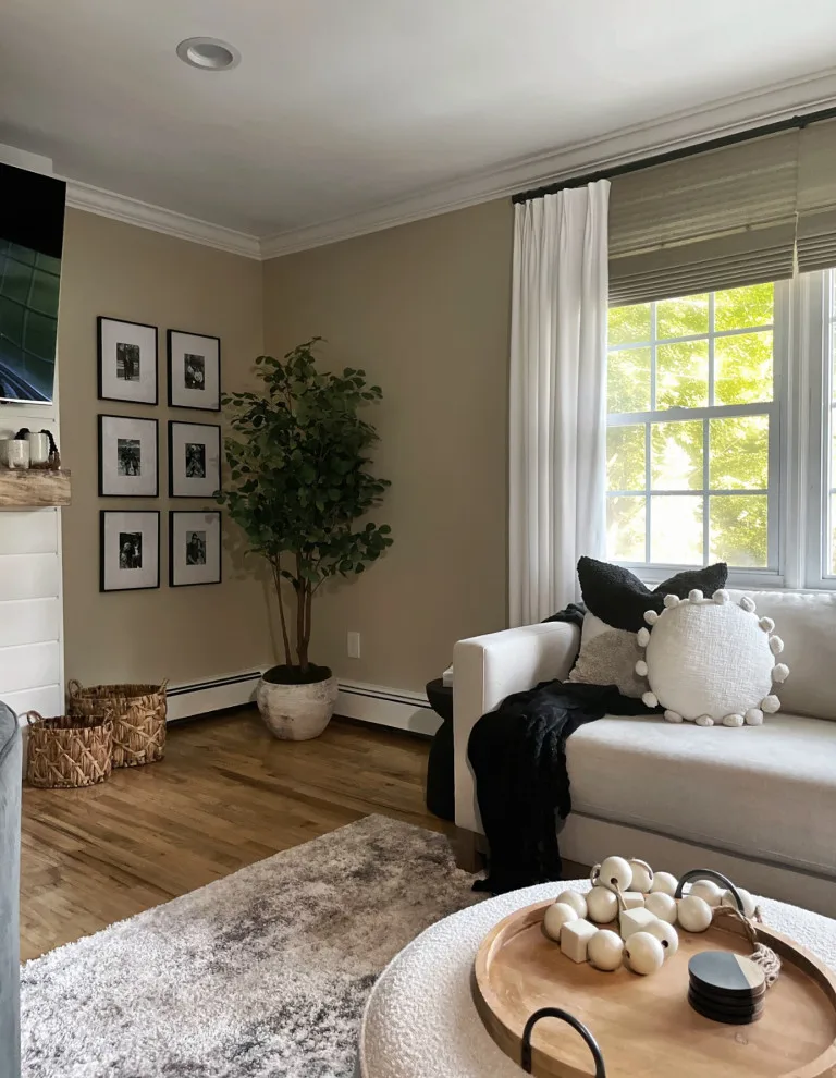Randolph Living Room Revamp by Grayscale Homes - Photo 4