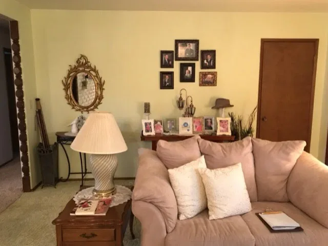 Revamped Living Room by Wild Willow Interiors - Photo 2