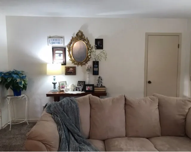 Revamped Living Room by Wild Willow Interiors - Photo 3