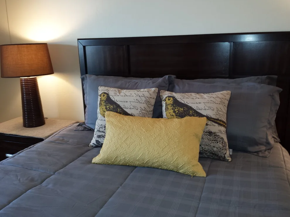 Saguaro Springs-Then and Now by Sarah Waddell, Pomeroy House Interiors - Photo 14