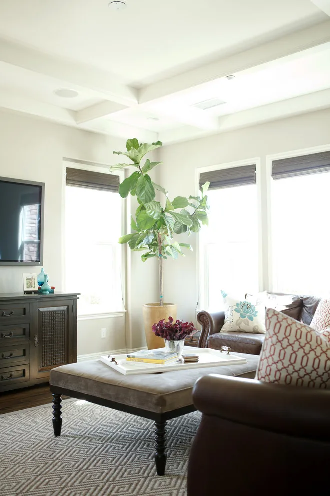 San Clemente Design by Avenue A Interiors - Photo 9