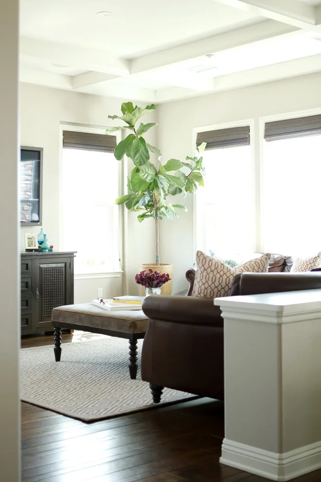 San Clemente Design by Avenue A Interiors - Photo 3