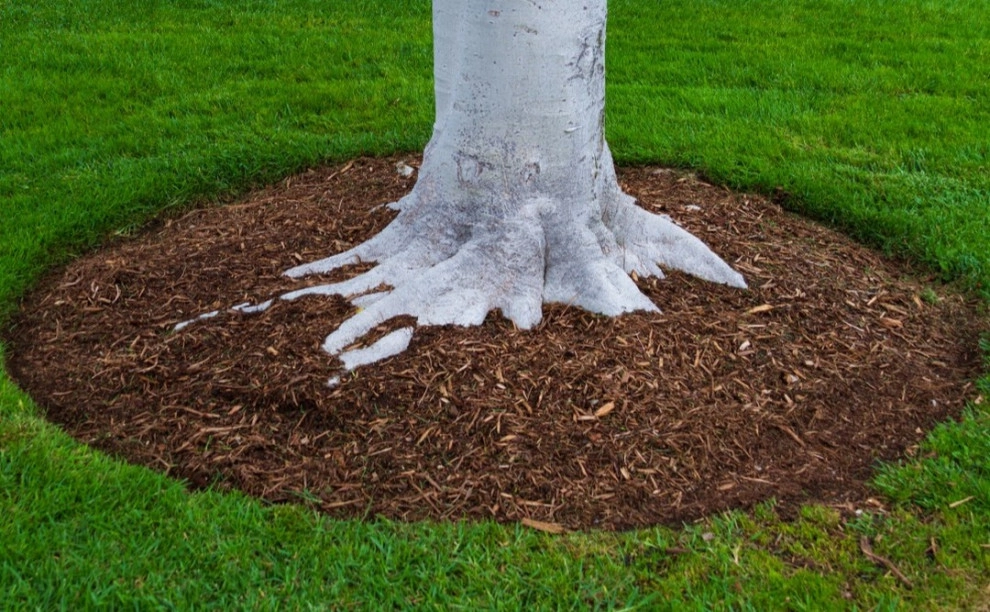 Featured Projects by Heidrich Landscaping - Photo 15