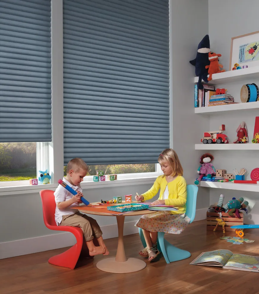Sonnette Blinds by Debbie Fornoff Interior Design And Draperies - Photo 18