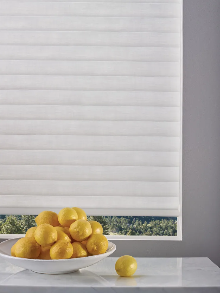 Sonnette Blinds by Debbie Fornoff Interior Design And Draperies - Photo 5