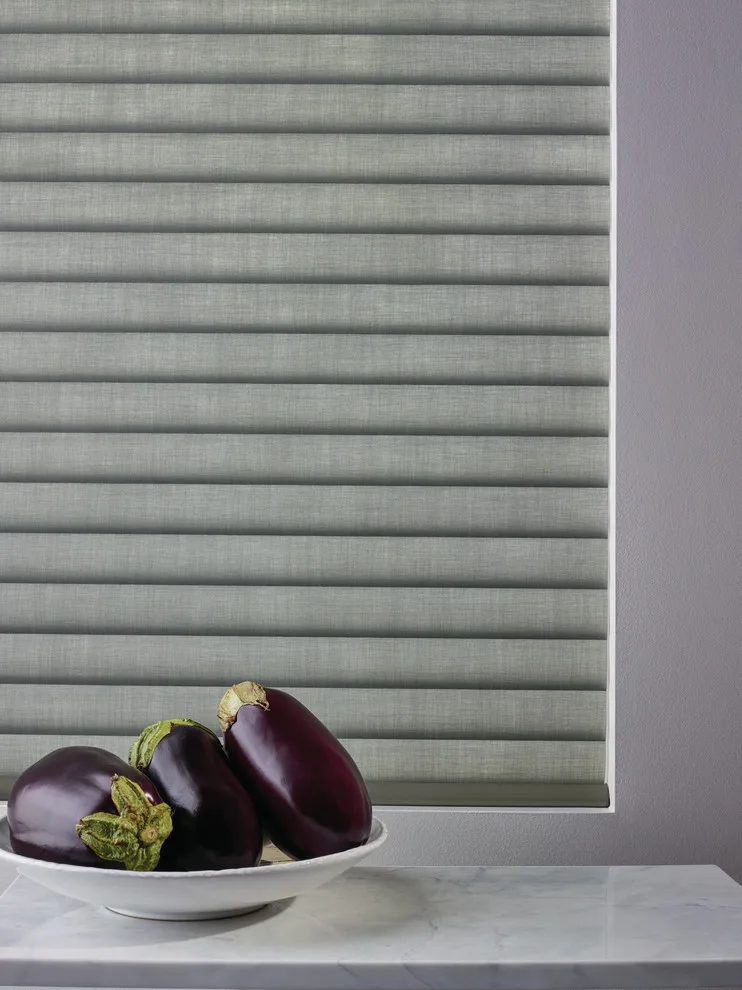 Sonnette Blinds by Debbie Fornoff Interior Design And Draperies - Photo 8