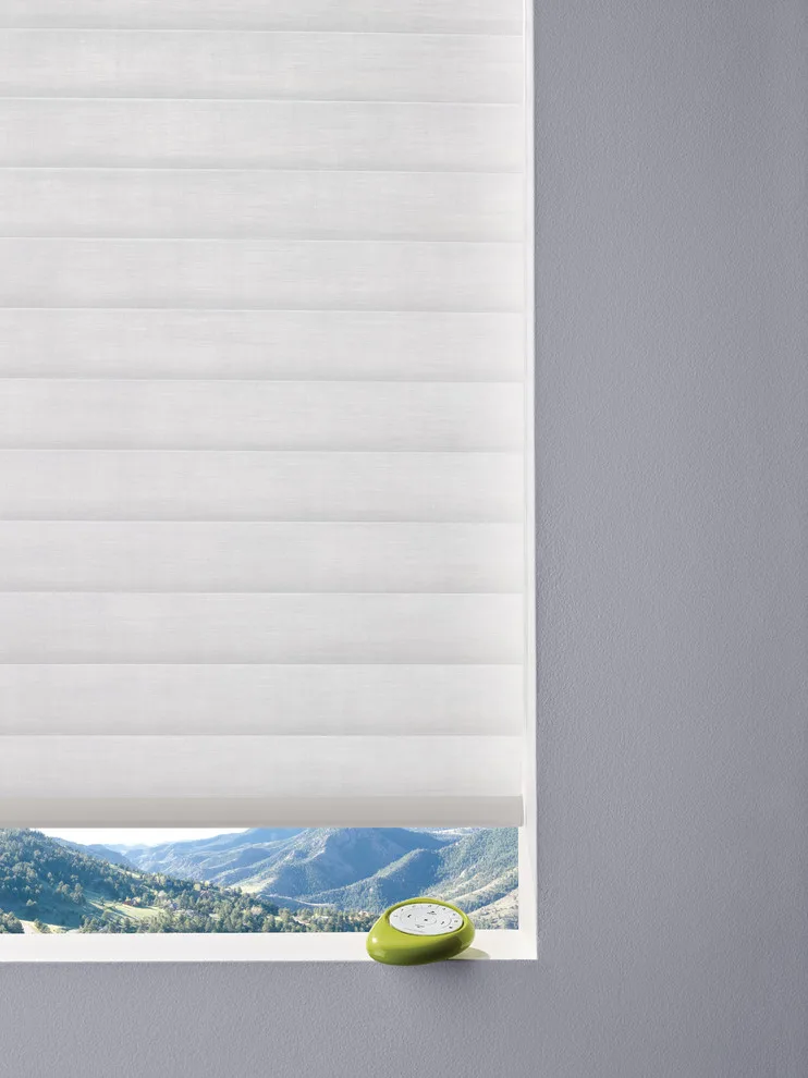Sonnette Blinds by Debbie Fornoff Interior Design And Draperies - Photo 3