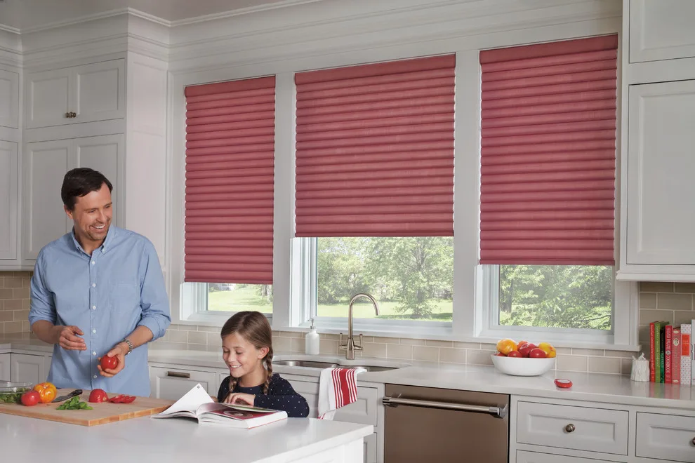 Sonnette Blinds by Debbie Fornoff Interior Design And Draperies - Photo 12