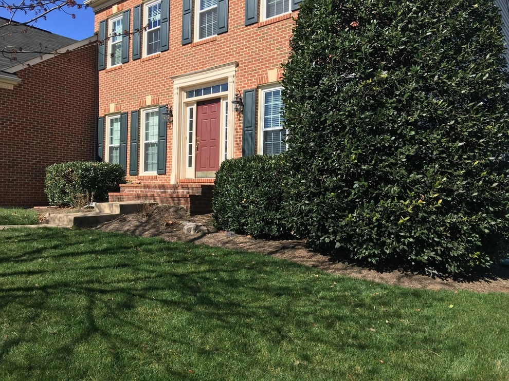 Leesburg - Delphinium Circle by HEMAX Construction Services & Landscaping, LLC - Photo 10