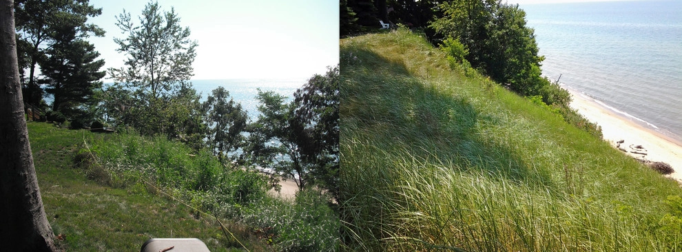 Project Before & After Pictures by LandTechwmi LLC - Photo 29