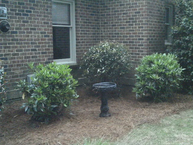 Staging - After by Designs By Cheryl Lynn & Associates, LLC - Photo 141