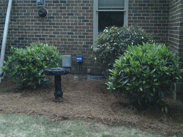 Staging - After by Designs By Cheryl Lynn & Associates, LLC - Photo 22