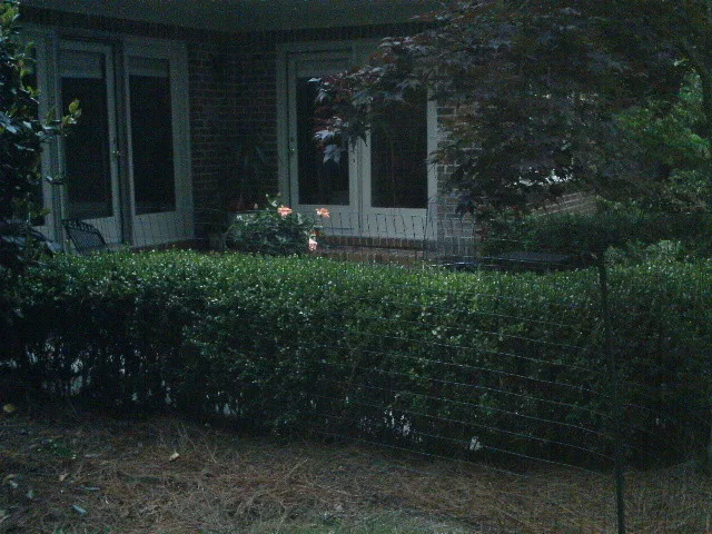 Staging - After by Designs By Cheryl Lynn & Associates, LLC - Photo 177