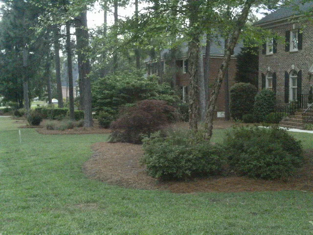 Post-Staging by Designs By Cheryl Lynn & Associates, LLC - Photo 20