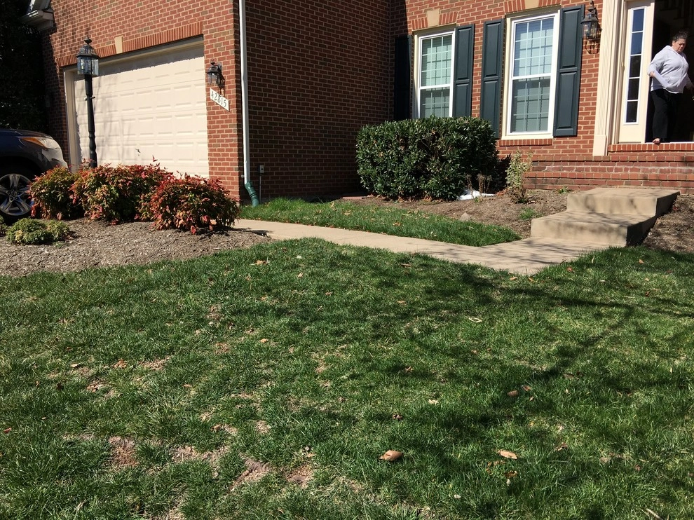 Leesburg - Delphinium Circle by HEMAX Construction Services & Landscaping, LLC - Photo 5