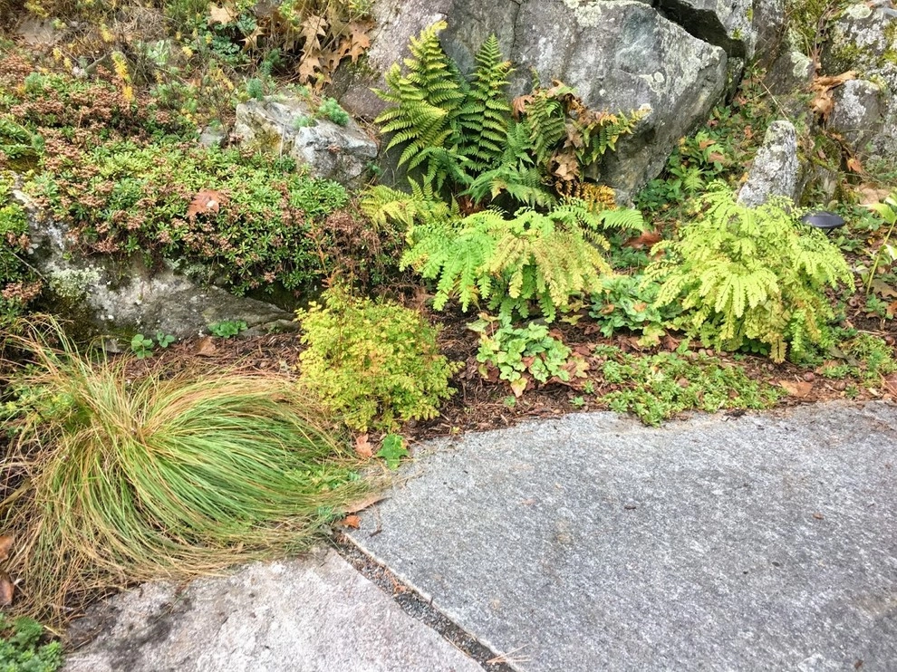 Landscape Design, Installation & Maintenance by Henderson's Tree & Garden Services - Photo 8
