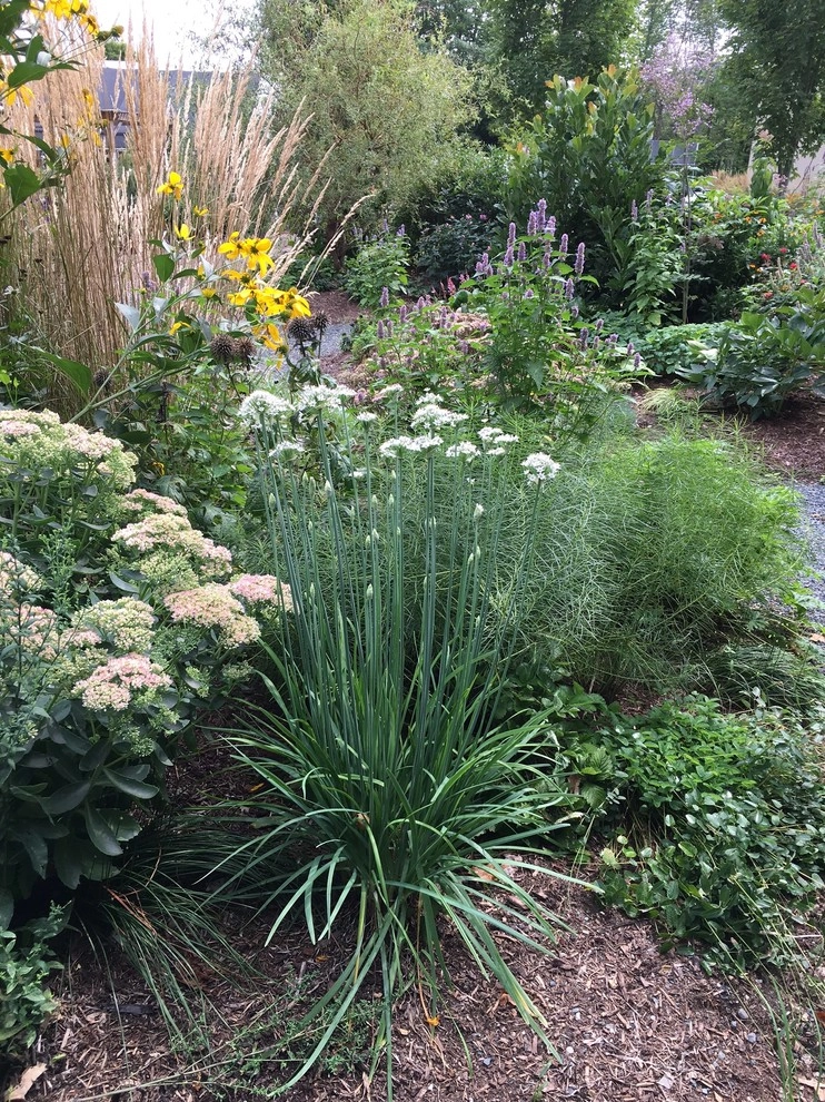 Landscape Design, Installation & Maintenance by Henderson's Tree & Garden Services - Photo 9