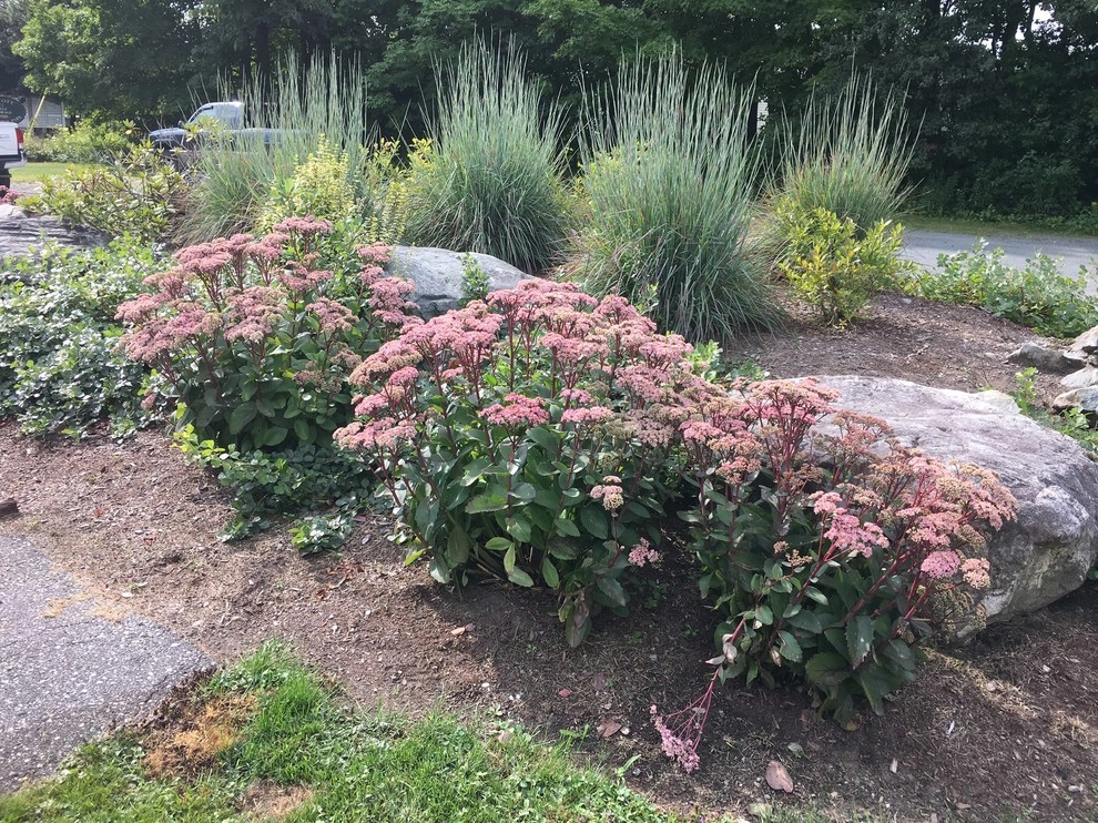 Henderson's Tree & Garden Services - Photo 9