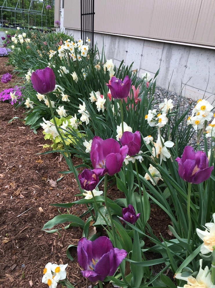 Henderson's Tree & Garden Services - Photo 8