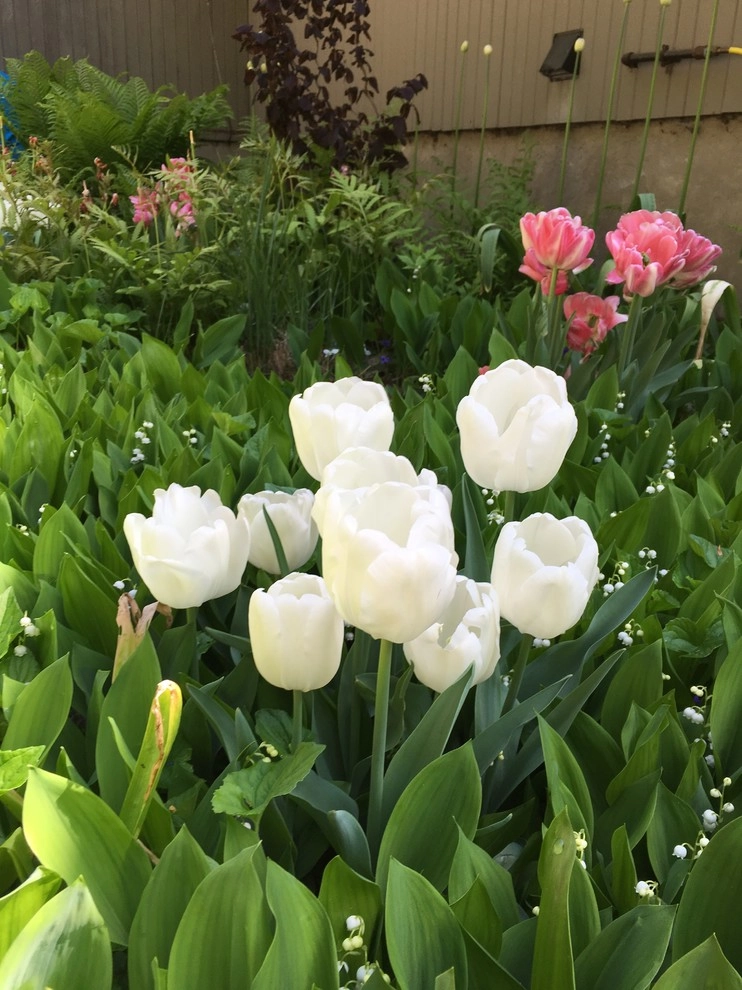 Landscape Design, Installation & Maintenance by Henderson's Tree & Garden Services - Photo 18