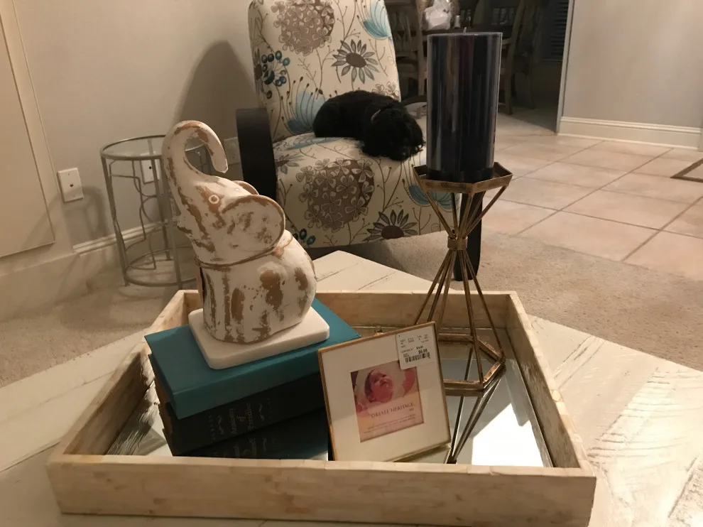 Derryberry Designs - Photo 3