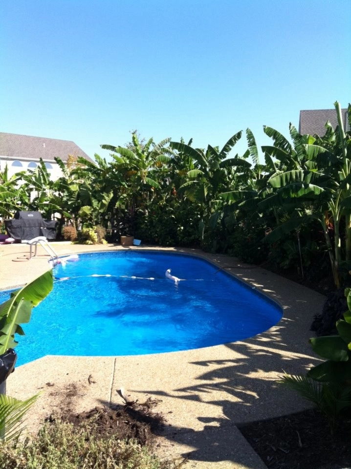 Heritage Lawn & Landscape, LLC. - Photo 11