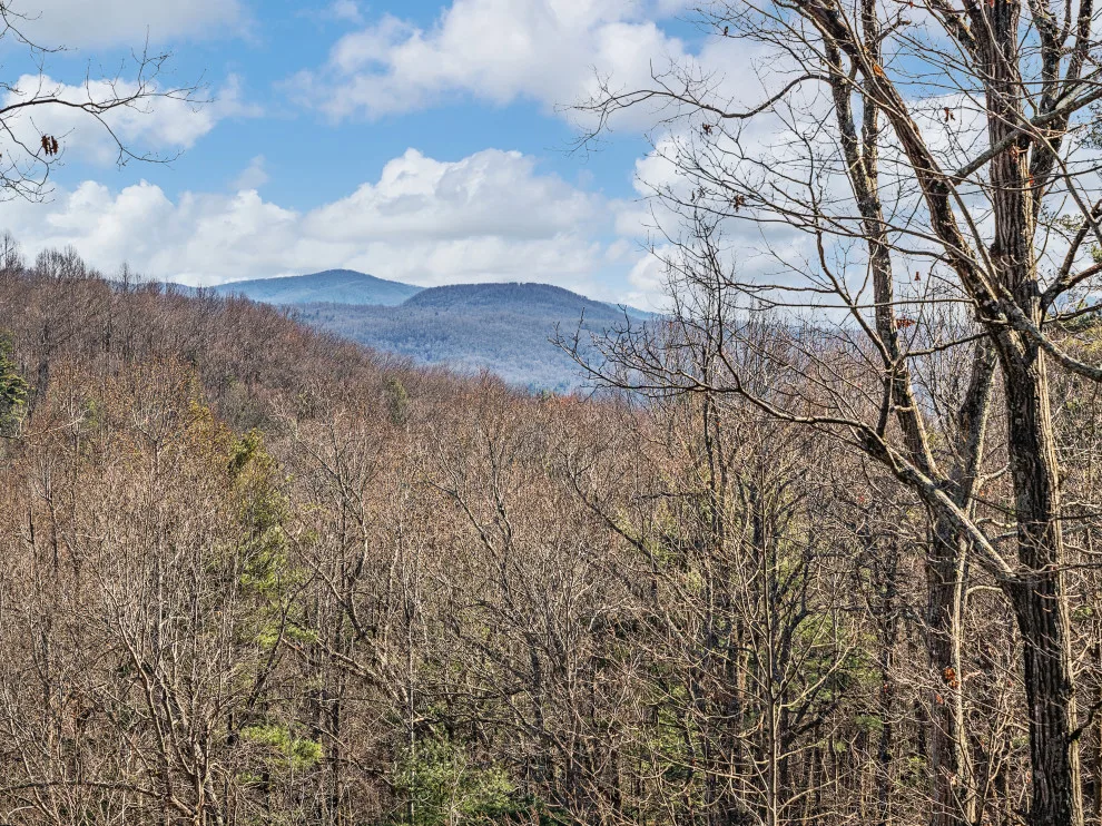 Mountain Escape in Transition by Kayla Beavers Interior Designer - Photo 15