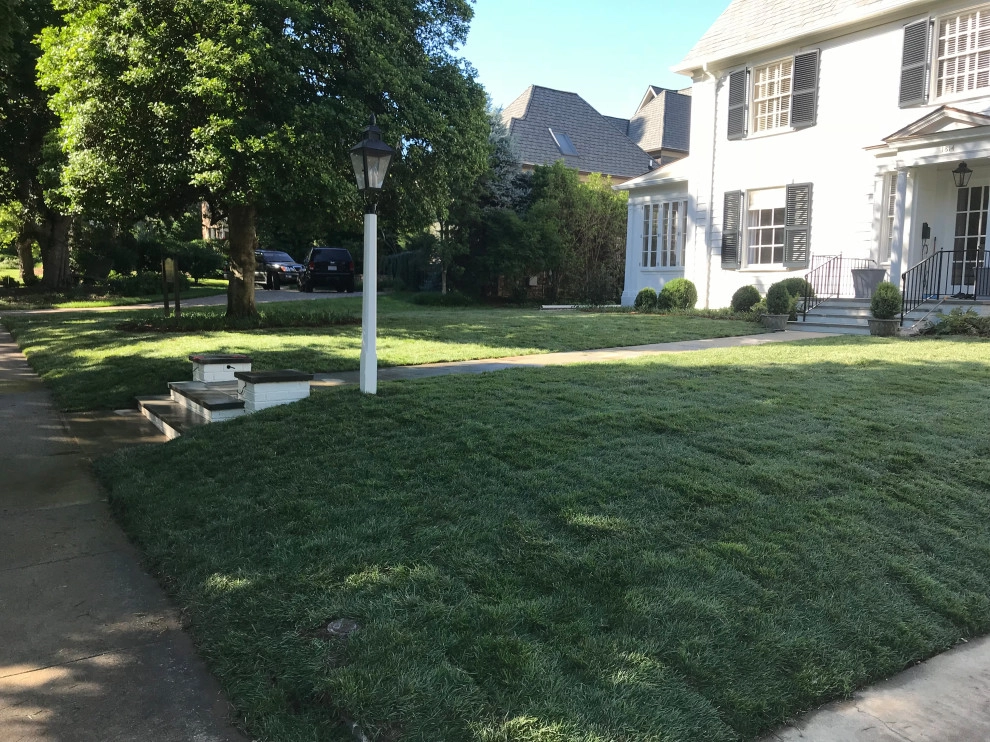Complete Renovation & Pool by High Rock Land & Hardscapes - Photo 11