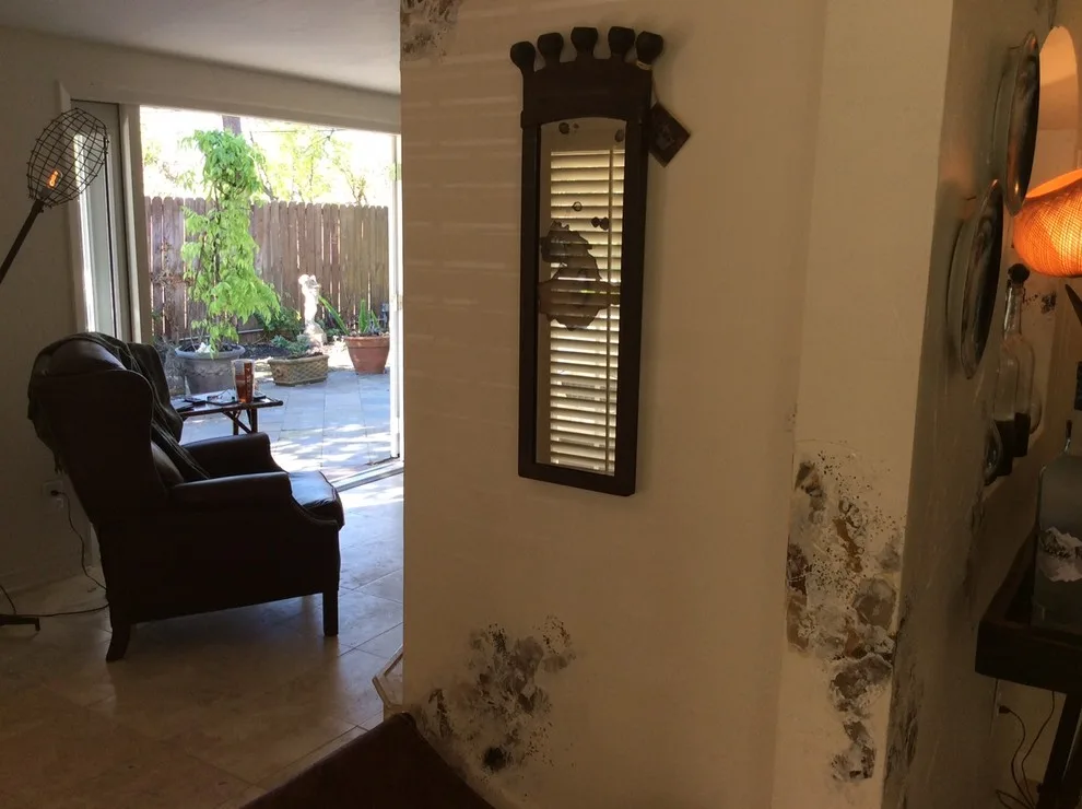 Zsa's Spot by Jane Owen Interior Design - Photo 5