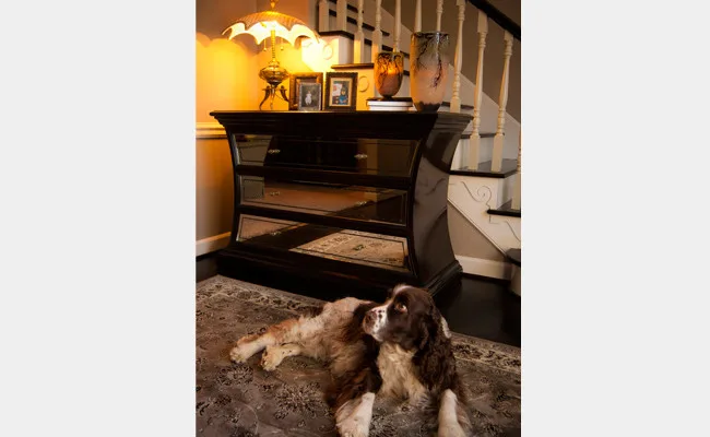 1980s Contemporary Renovation - Jamestown, NC by Stephanie James Interiors - Photo 4