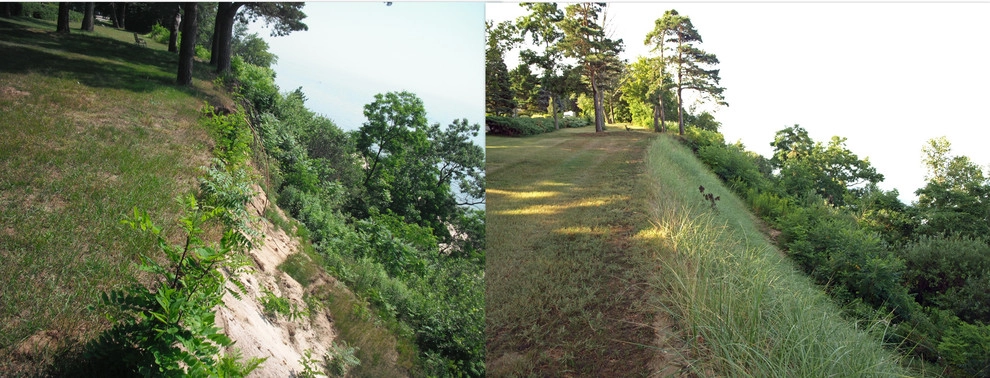 Project Before & After Pictures by LandTechwmi LLC - Photo 93