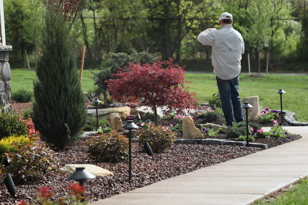 Landscape Planting, Lighting, and Using Red Tipple Stone by Holly Days Nursery & Landscaping - Photo 17