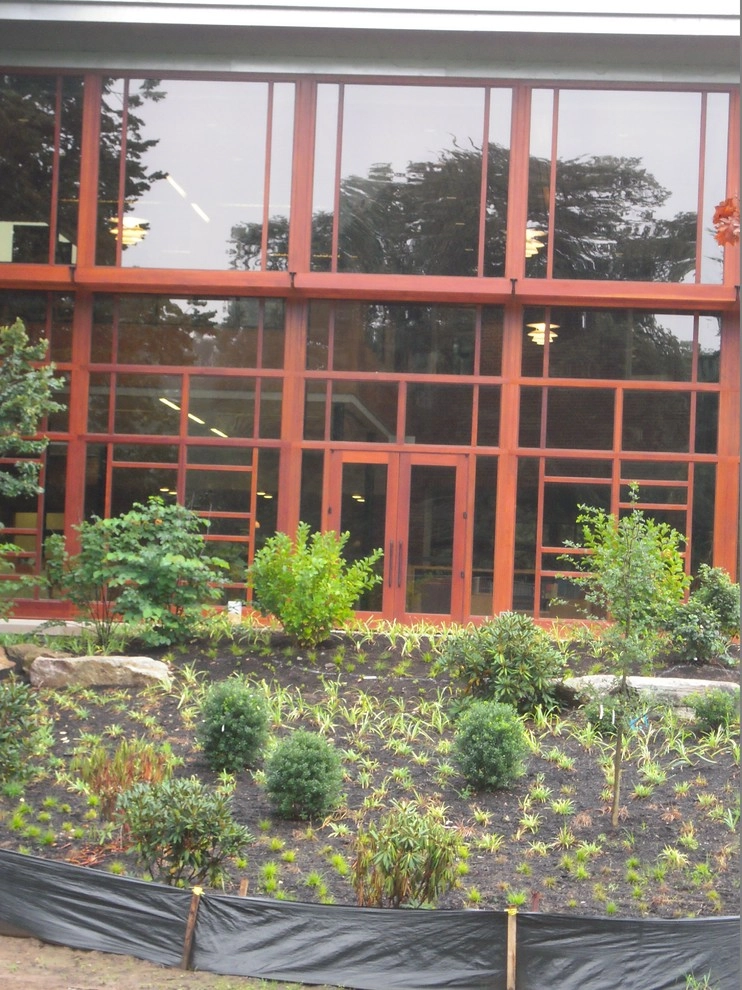 The George School by Holly Days Nursery & Landscaping - Photo 6
