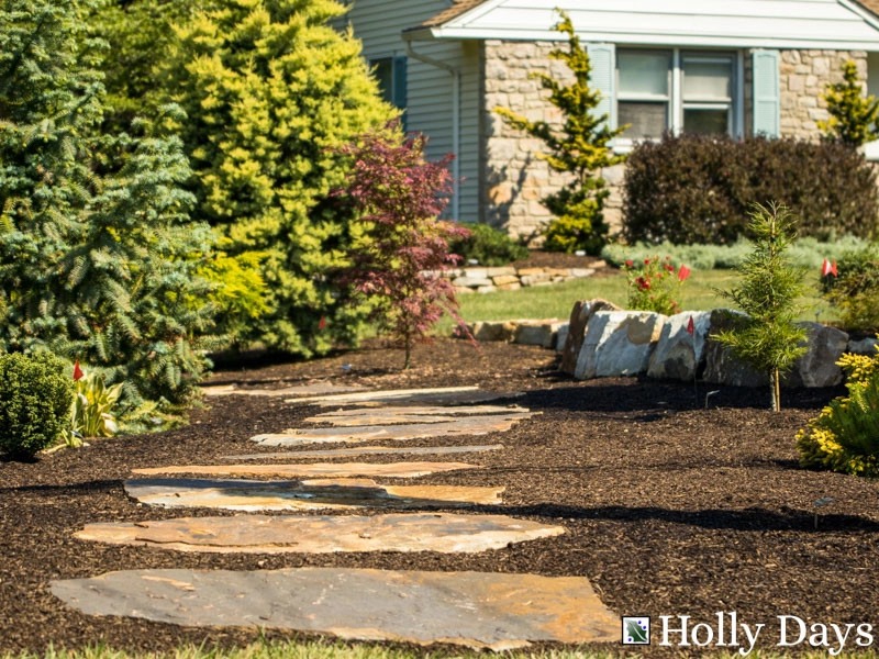 Landscape and Hardscape, Ambler, Pa by Holly Days Nursery & Landscaping - Photo 10