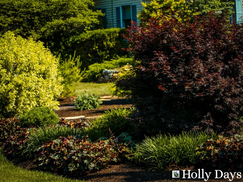 Landscape and Hardscape, Ambler, Pa by Holly Days Nursery & Landscaping - Photo 5