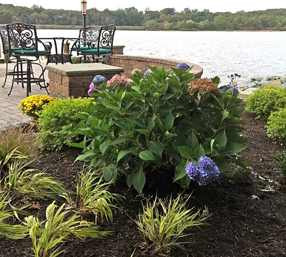 Chesapeake Bay Home by Holly Days Nursery & Landscaping - Photo 17