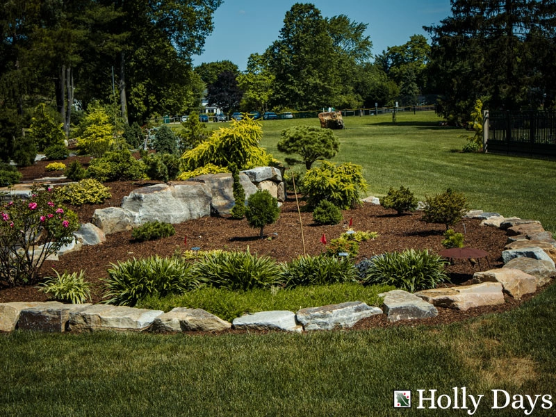 Landscape and Hardscape, Ambler, Pa by Holly Days Nursery & Landscaping - Photo 19