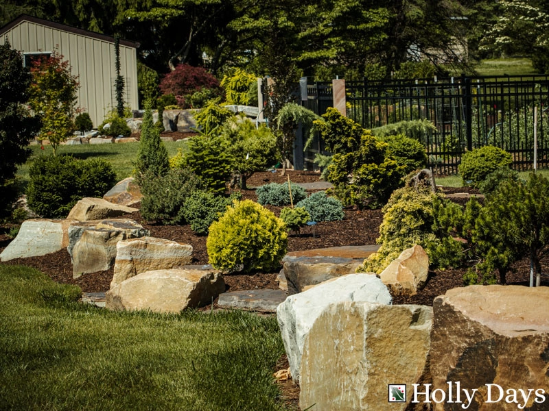 Landscape and Hardscape, Ambler, Pa by Holly Days Nursery & Landscaping - Photo 13