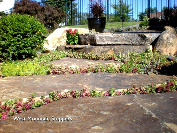 walkways by Holly Days Nursery & Landscaping - Photo 6