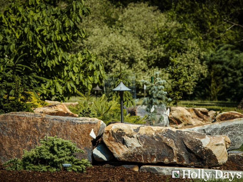 Landscape and Hardscape, Ambler, Pa by Holly Days Nursery & Landscaping - Photo 14