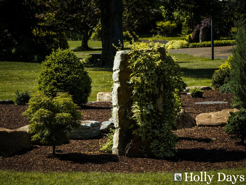 Landscape and Hardscape, Ambler, Pa by Holly Days Nursery & Landscaping - Photo 8
