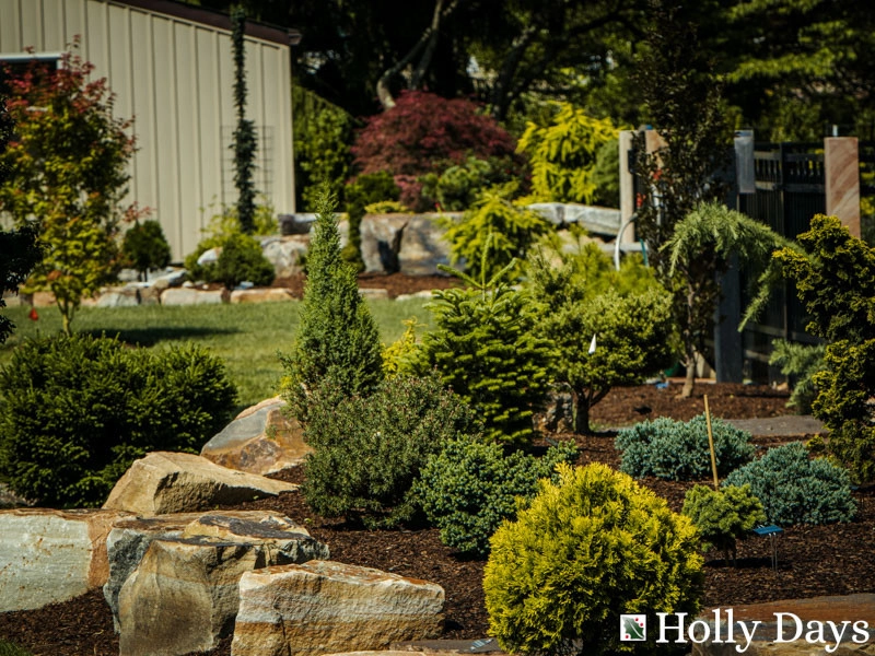 Landscape and Hardscape, Ambler, Pa by Holly Days Nursery & Landscaping - Photo 21