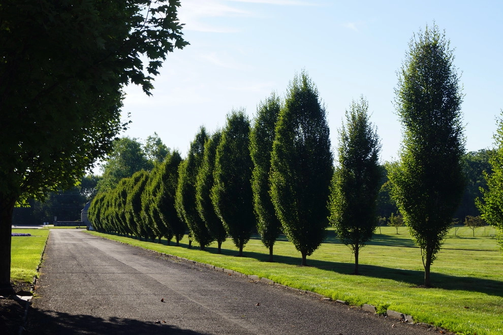 Whitemarsh Memorial Park by Holly Days Nursery & Landscaping - Photo 2
