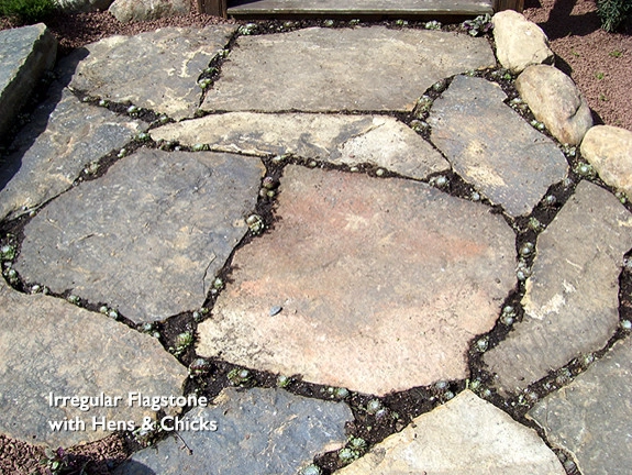 walkways by Holly Days Nursery & Landscaping - Photo 46