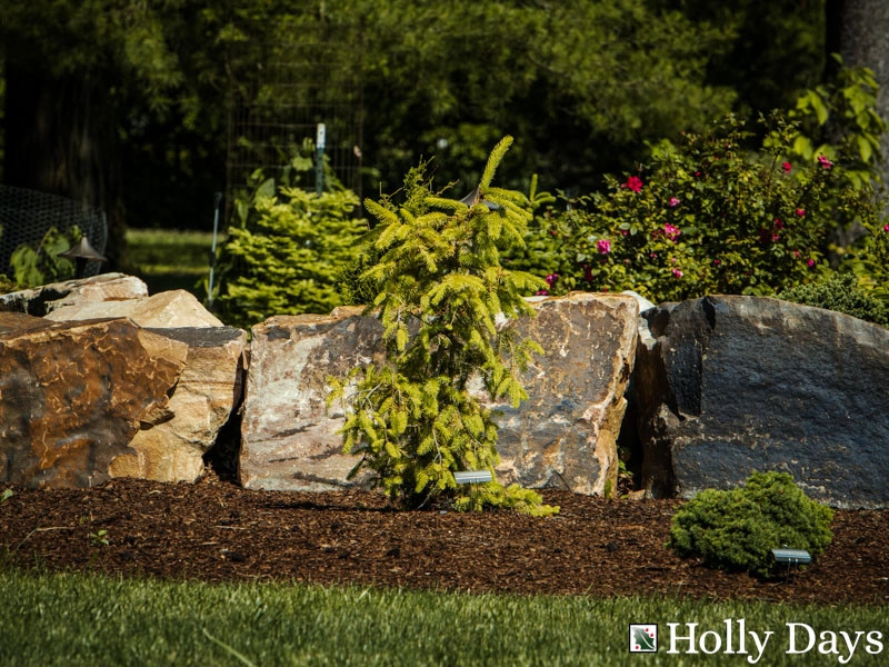 Landscape and Hardscape, Ambler, Pa by Holly Days Nursery & Landscaping - Photo 7