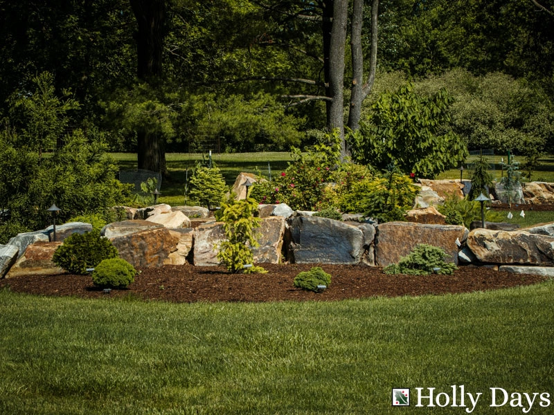 Landscape and Hardscape, Ambler, Pa by Holly Days Nursery & Landscaping - Photo 22