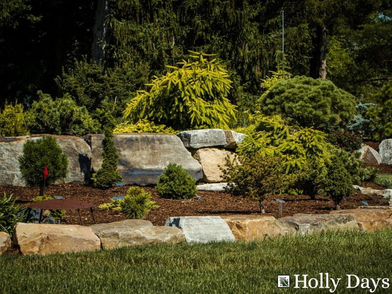 Landscape and Hardscape, Ambler, Pa by Holly Days Nursery & Landscaping - Photo 24
